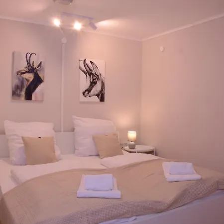 Holiday home Beim Patzelt - In
